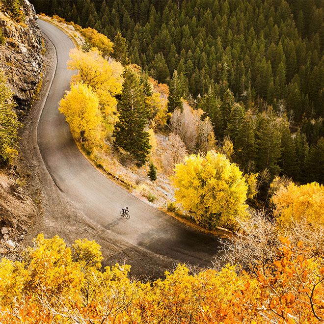 Aerial view of bicyclist on rural road.