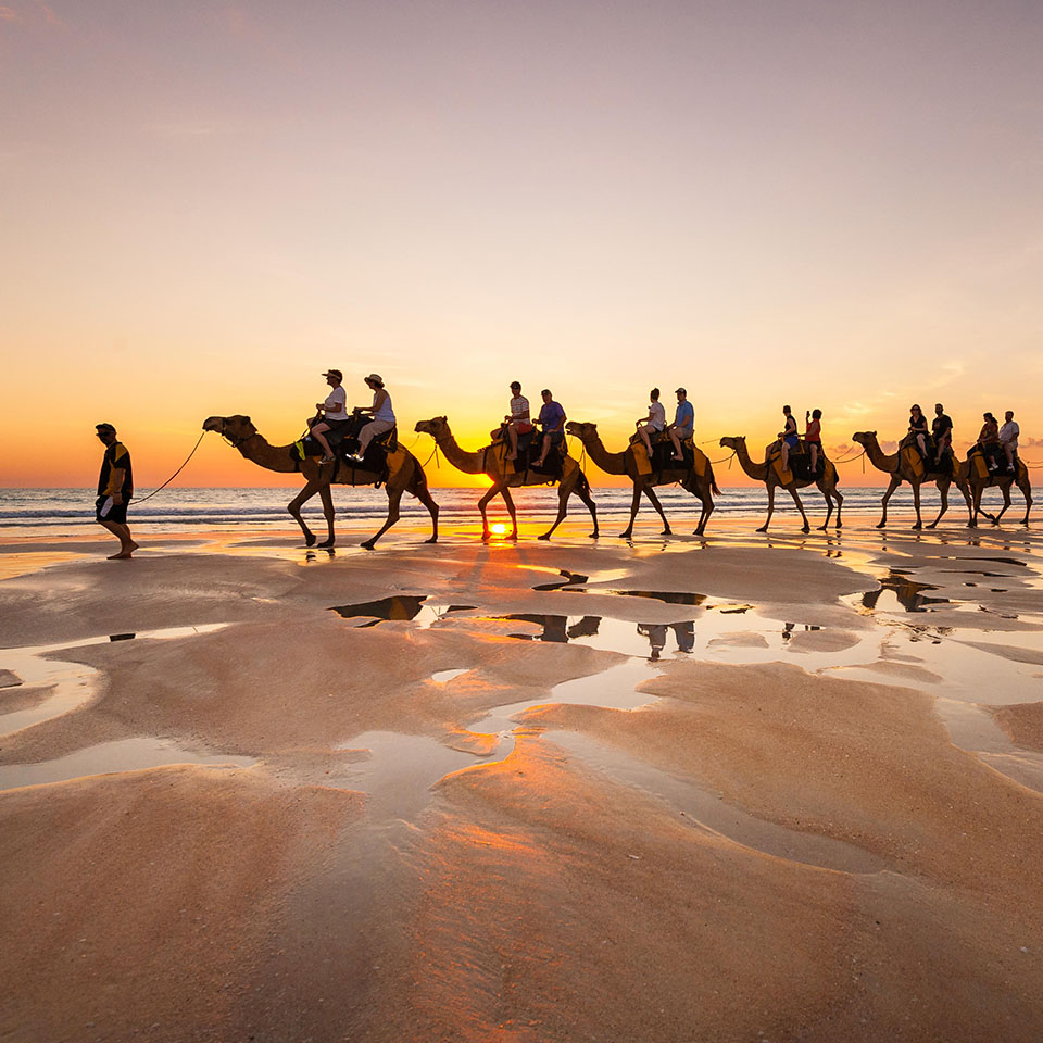 PJE6CD - Camel Tour at famous Cable Beach in Broome