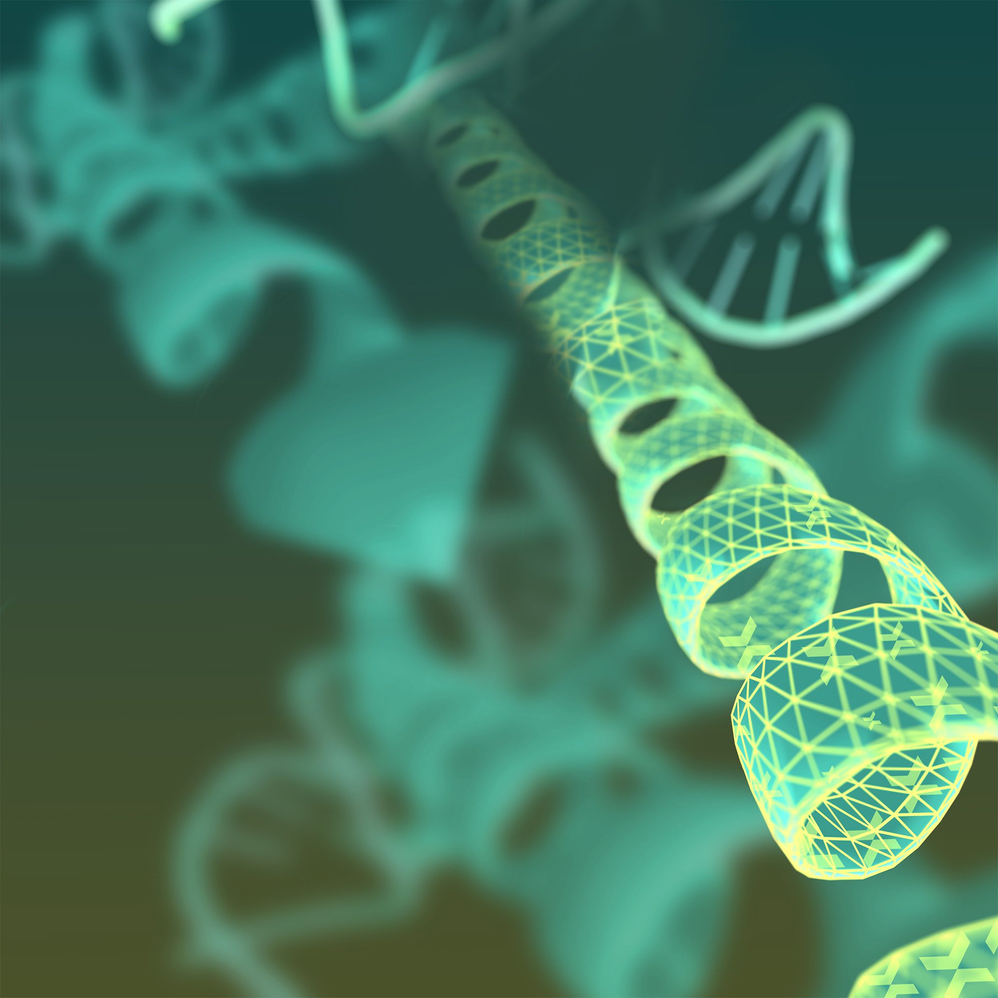 RESI-24-003d-3DKA-07-SC-Pesrp01-BG-2