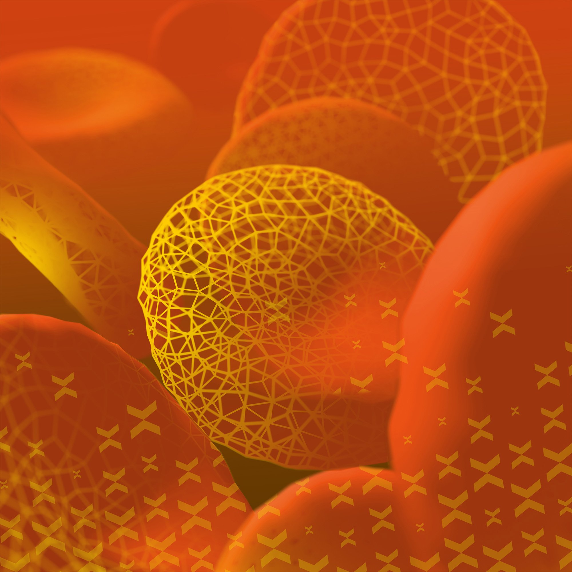 RESI-24-003d-3DKA__09-PAD_Persp02-Red_v4