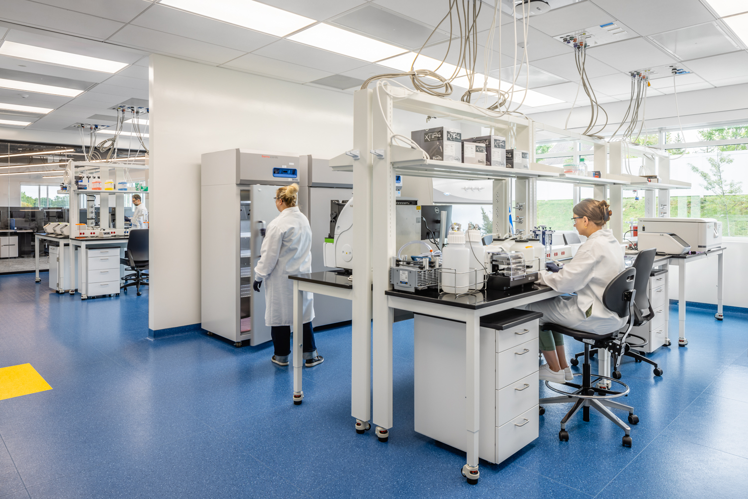 Resilience-Marlborough-Final-WebSize-18 Resilience-Marlborough-Final-WebSize-18