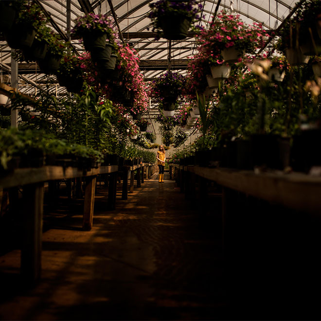 9 YEAR OLD GIRL IN A GREENHOUSE