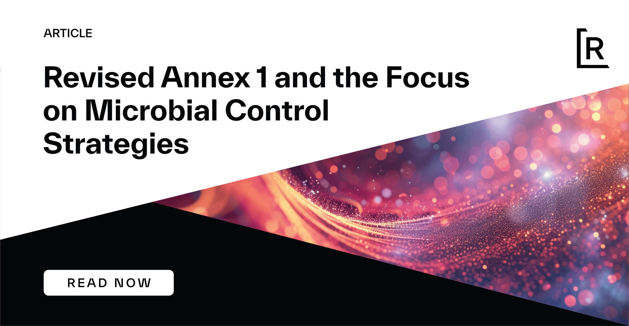 Annex 1 Article Social -3