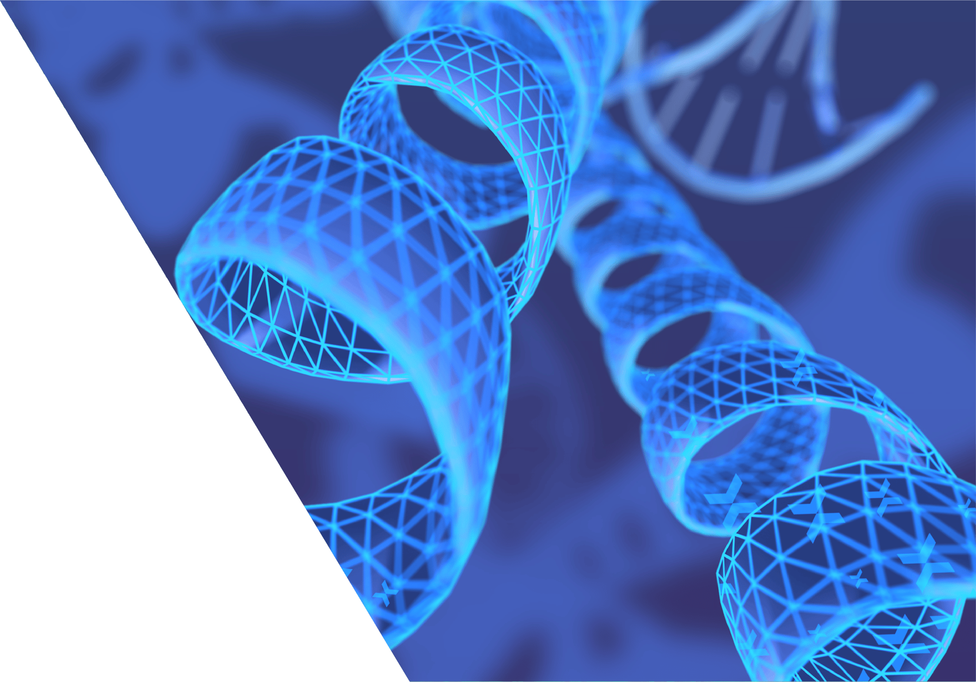 BuildYourResilience-banner BuildYourResilience-banner